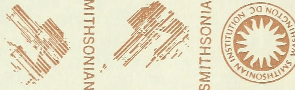 An illustration from Handbook of tissue paper work, 1885, leaf 3