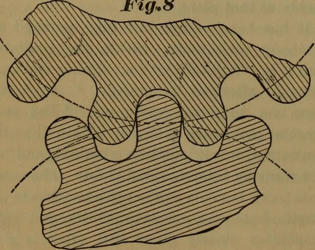 An illustration from A handbook on the teeth of gears, their curves, properties, and practical construction, 1887, leaf 44