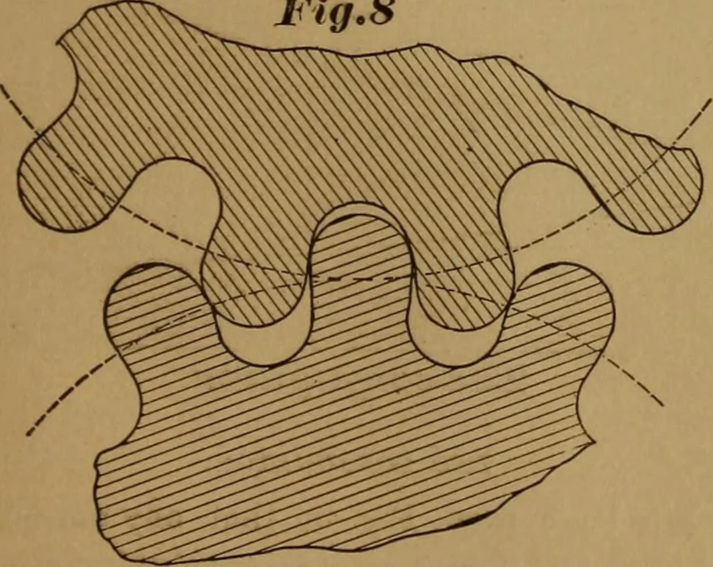 An illustration from A handbook on the teeth of gears, their curves, properties, and practical construction, 1890, leaf 41