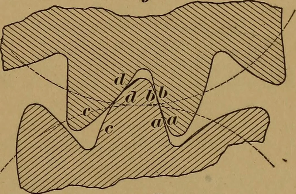 An illustration from A handbook on the teeth of gears, their curves, properties, and practical construction, 1890, leaf 41
