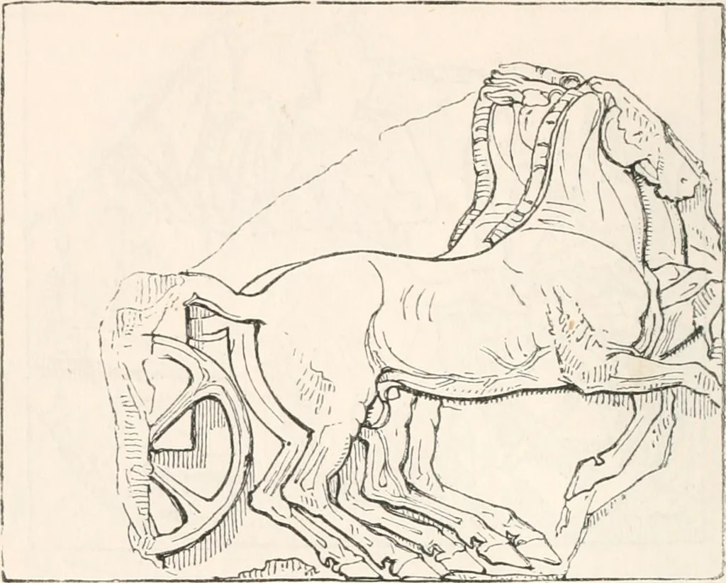 An illustration from Handbook to the antiquities in the British Museum : being a description of the remains of Greek, Assyrian, Egyptian and Etruscan art preserved there, with numerous illustrations, 1851, leaf 106