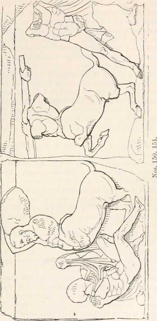 An illustration from Handbook to the antiquities in the British Museum : being a description of the remains of Greek, Assyrian, Egyptian and Etruscan art preserved there, with numerous illustrations, 1851, leaf 123