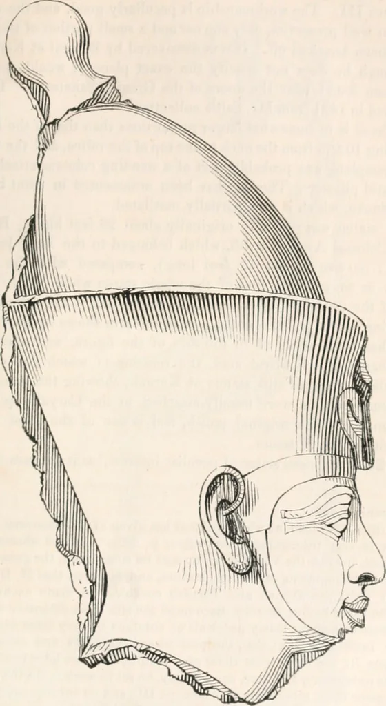 An illustration from Handbook to the antiquities in the British Museum : being a description of the remains of Greek, Assyrian, Egyptian and Etruscan art preserved there, with numerous illustrations, 1851, leaf 321