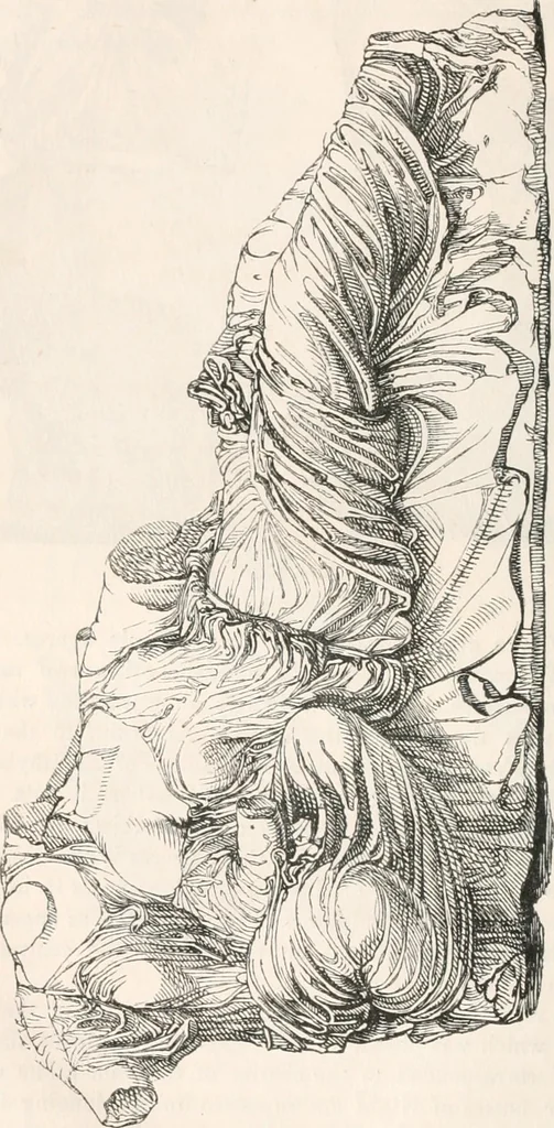 An illustration from Handbook to the antiquities in the British Museum : being a description of the remains of Greek, Assyrian, Egyptian and Etruscan art preserved there, with numerous illustrations, 1851, leaf 62