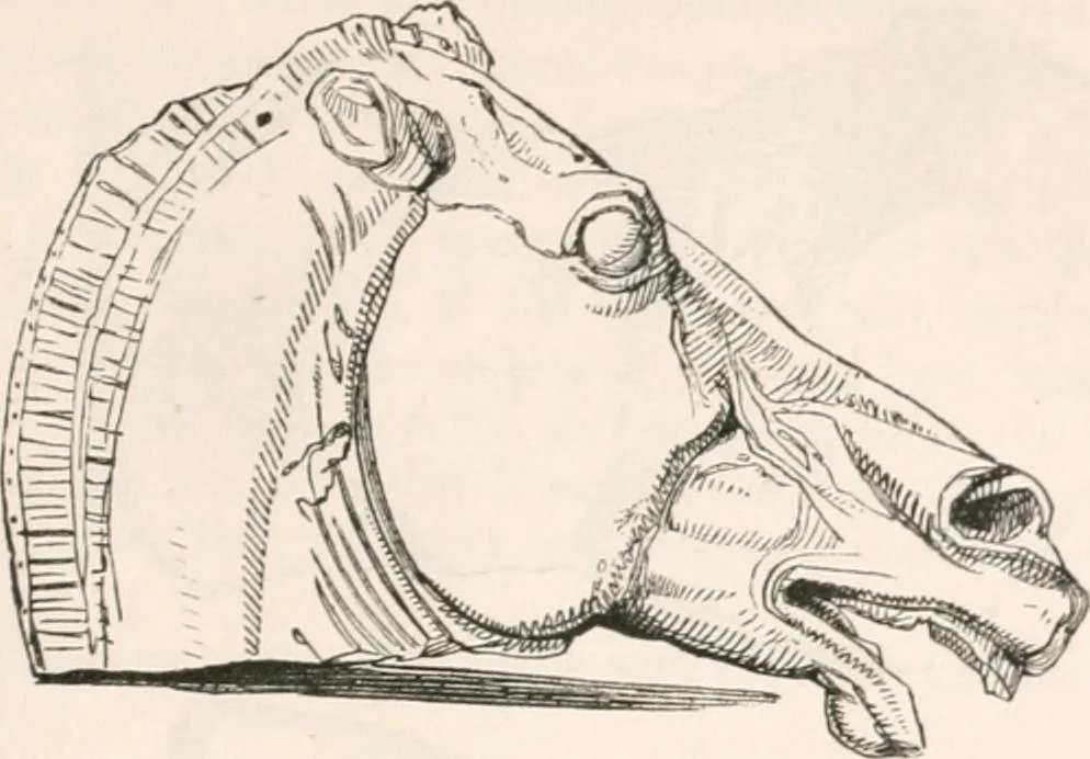 An illustration from Handbook to the antiquities in the British Museum : being a description of the remains of Greek, Assyrian, Egyptian and Etruscan art preserved there, with numerous illustrations, 1851, leaf 63