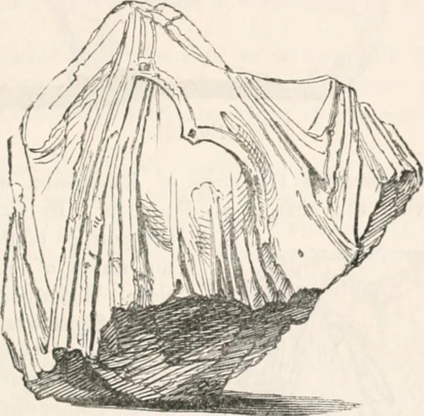 An illustration from Handbook to the antiquities in the British Museum : being a description of the remains of Greek, Assyrian, Egyptian and Etruscan art preserved there, with numerous illustrations, 1851, leaf 65