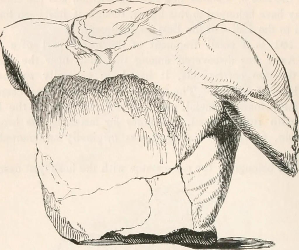 An illustration from Handbook to the antiquities in the British Museum : being a description of the remains of Greek, Assyrian, Egyptian and Etruscan art preserved there, with numerous illustrations, 1851, leaf 66