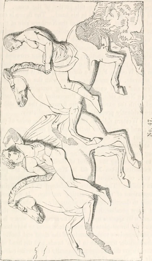 An illustration from Handbook to the antiquities in the British Museum : being a description of the remains of Greek, Assyrian, Egyptian and Etruscan art preserved there, with numerous illustrations, 1851, leaf 93