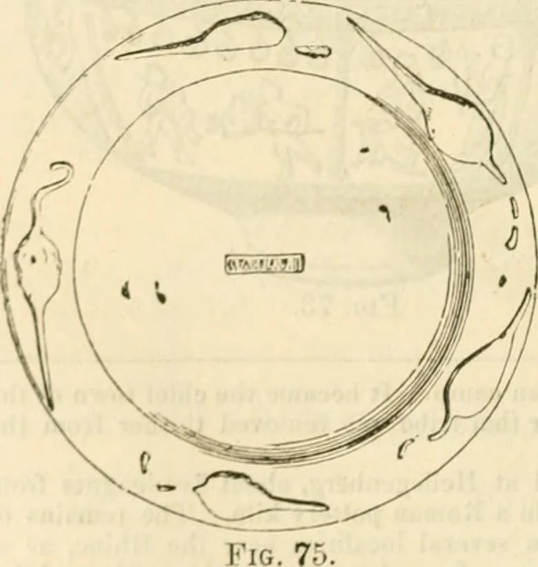 An illustration from Handbook to the collection of British pottery and porcelain, in the Museum of Practical Geology, 1893, leaf 100