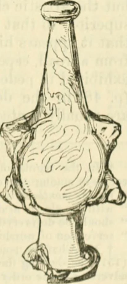 An illustration from Handbook to the collection of British pottery and porcelain, in the Museum of Practical Geology, 1893, leaf 105