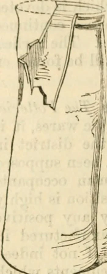 An illustration from Handbook to the collection of British pottery and porcelain, in the Museum of Practical Geology, 1893, leaf 108