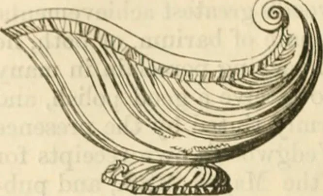 An illustration from Handbook to the collection of British pottery and porcelain, in the Museum of Practical Geology, 1893, leaf 122