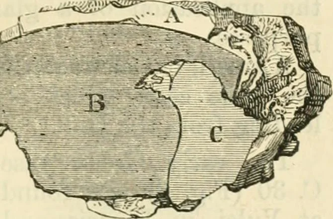 An illustration from Handbook to the collection of British pottery and porcelain, in the Museum of Practical Geology, 1893, leaf 61