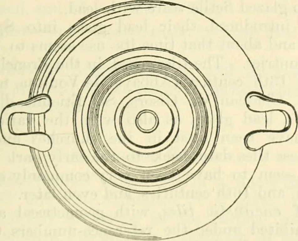 An illustration from Handbook to the collection of British pottery and porcelain, in the Museum of Practical Geology, 1893, leaf 67