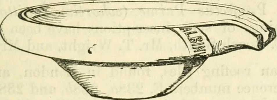 An illustration from Handbook to the collection of British pottery and porcelain, in the Museum of Practical Geology, 1893, leaf 97