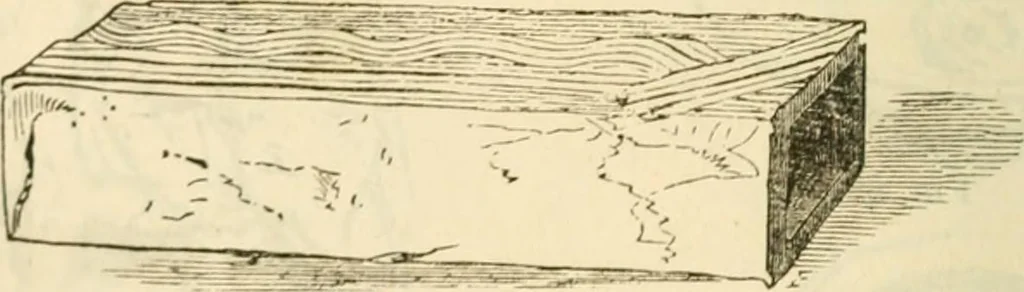 An illustration from Handbook to the collection of British pottery and porcelain, in the Museum of Practical Geology, 1893, leaf 98