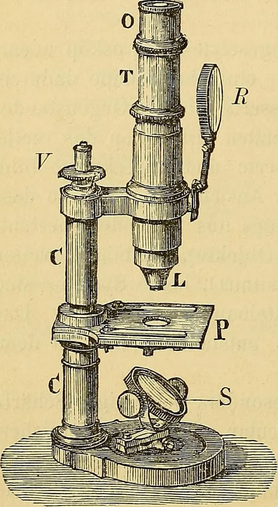 An illustration from Handbuch der klinischen Mikroskopie : mit Berücksichtigung der wichtigsten chemischen Untersuchungen am Krankenbette und der Verwendung des Mikroskopes in der gerichtlichen Medicin, 1883, leaf 19