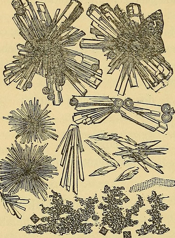 An illustration from Handbuch der klinischen Mikroskopie : mit Berücksichtigung der wichtigsten chemischen Untersuchungen am Krankenbette und der Verwendung des Mikroskopes in der gerichtlichen Medicin, 1883, leaf 241
