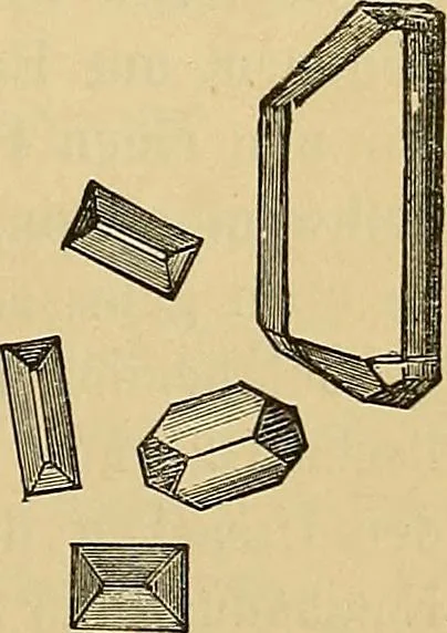 An illustration from Handbuch der klinischen Mikroskopie : mit Berücksichtigung der wichtigsten chemischen Untersuchungen am Krankenbette und der Verwendung des Mikroskopes in der gerichtlichen Medicin, 1883, leaf 244