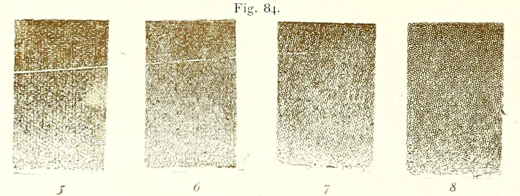 An illustration from Handbuch der Lithographie : nach dem gegenwärtigen Stande dieser Technik, 1901, leaf 178