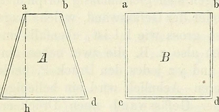 An illustration from Handbuch der medicinischen Physik, 1867, leaf 117