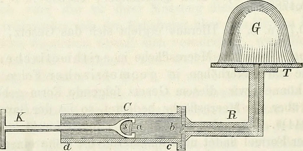 An illustration from Handbuch der medicinischen Physik, 1867, leaf 161