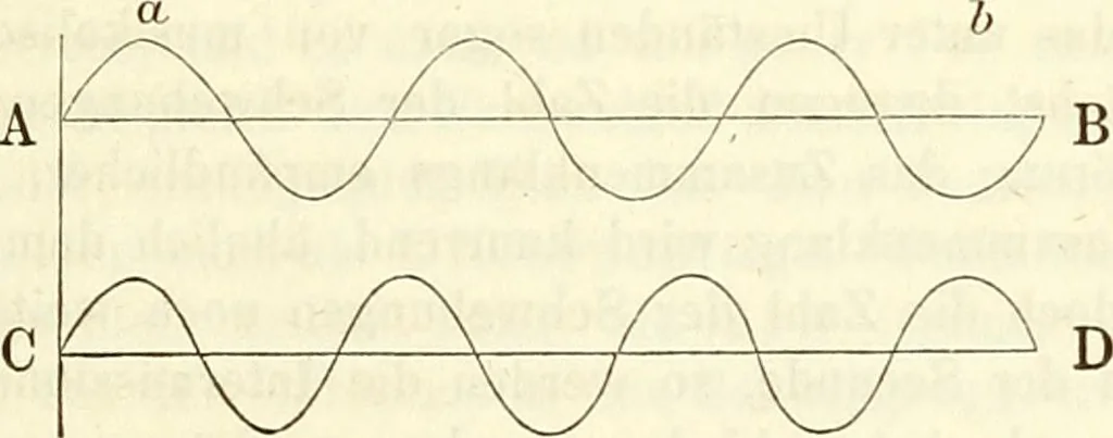 An illustration from Handbuch der medicinischen Physik, 1867, leaf 194
