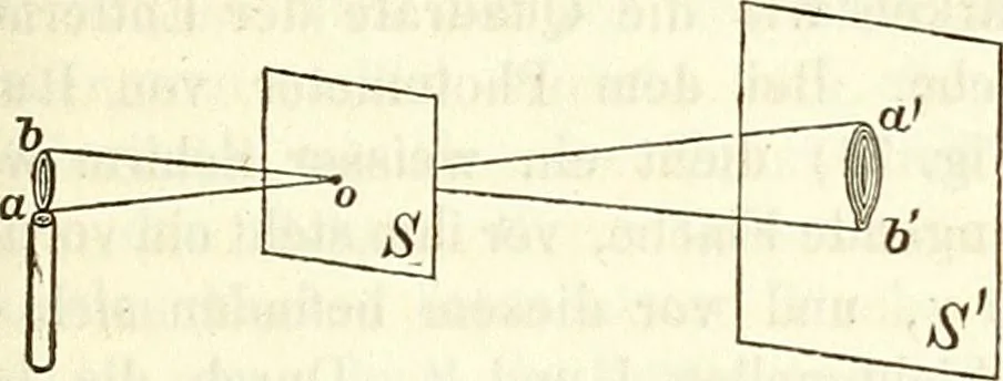 An illustration from Handbuch der medicinischen Physik, 1867, leaf 210