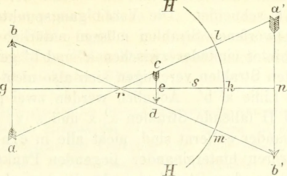 An illustration from Handbuch der medicinischen Physik, 1867, leaf 224