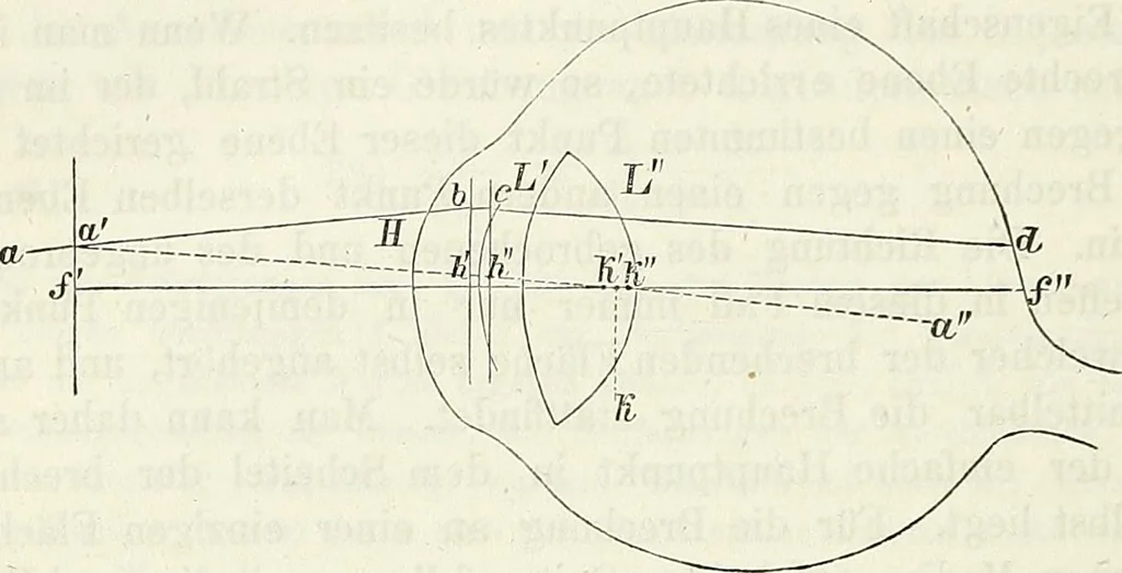 An illustration from Handbuch der medicinischen Physik, 1867, leaf 291