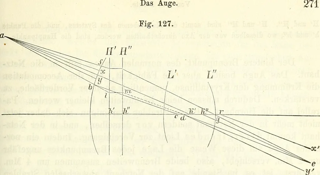 An illustration from Handbuch der medicinischen Physik, 1867, leaf 292