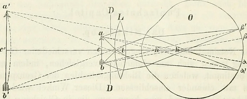 An illustration from Handbuch der medicinischen Physik, 1867, leaf 297