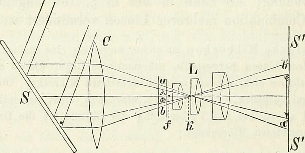 An illustration from Handbuch der medicinischen Physik, 1867, leaf 299