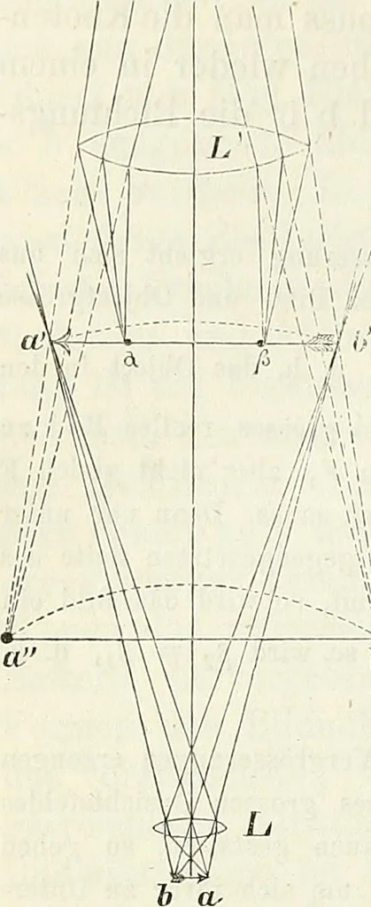 An illustration from Handbuch der medicinischen Physik, 1867, leaf 301