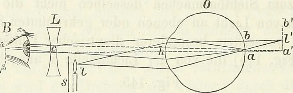 An illustration from Handbuch der medicinischen Physik, 1867, leaf 321