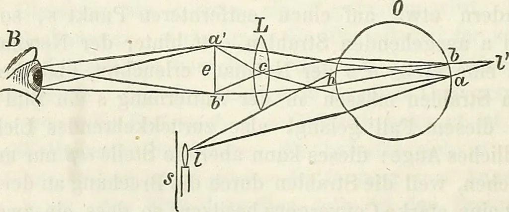 An illustration from Handbuch der medicinischen Physik, 1867, leaf 321