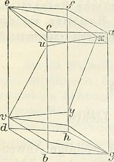 An illustration from Handbuch der medicinischen Physik, 1867, leaf 359
