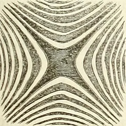 An illustration from Handbuch der medicinischen Physik, 1867, leaf 364