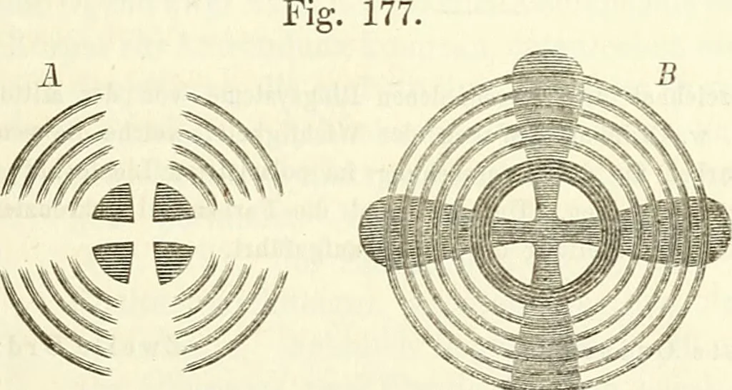 An illustration from Handbuch der medicinischen Physik, 1867, leaf 366