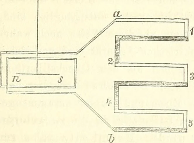 An illustration from Handbuch der medicinischen Physik, 1867, leaf 428