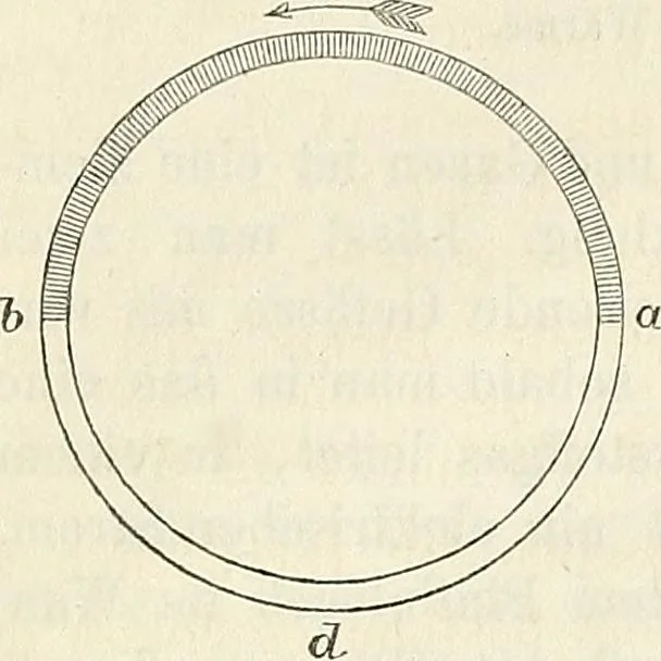 An illustration from Handbuch der medicinischen Physik, 1867, leaf 471