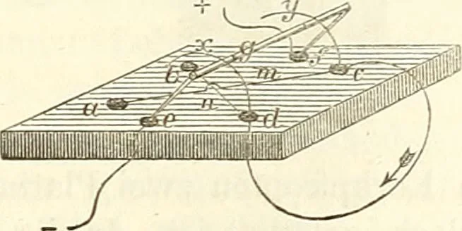 An illustration from Handbuch der medicinischen Physik, 1867, leaf 482