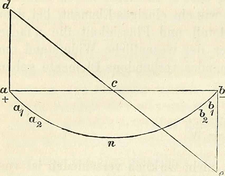 An illustration from Handbuch der medicinischen Physik, 1867, leaf 489