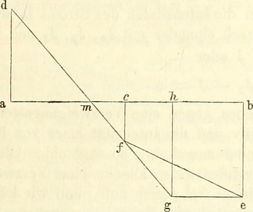 An illustration from Handbuch der medicinischen Physik, 1867, leaf 490