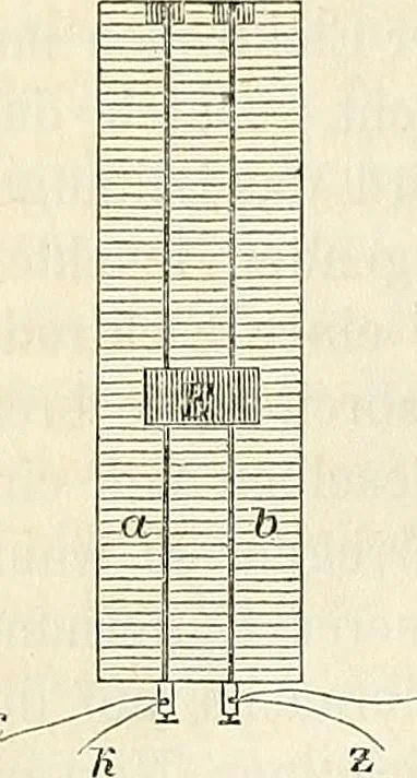 An illustration from Handbuch der medicinischen Physik, 1867, leaf 499