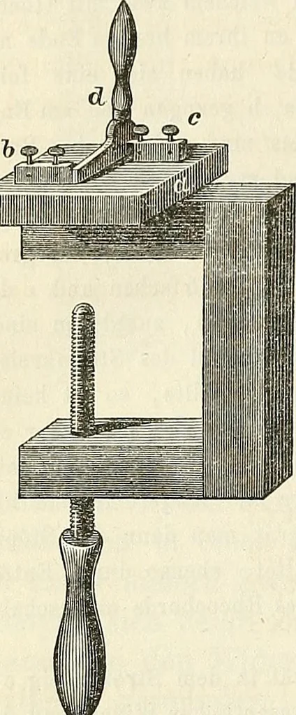 An illustration from Handbuch der medicinischen Physik, 1867, leaf 501