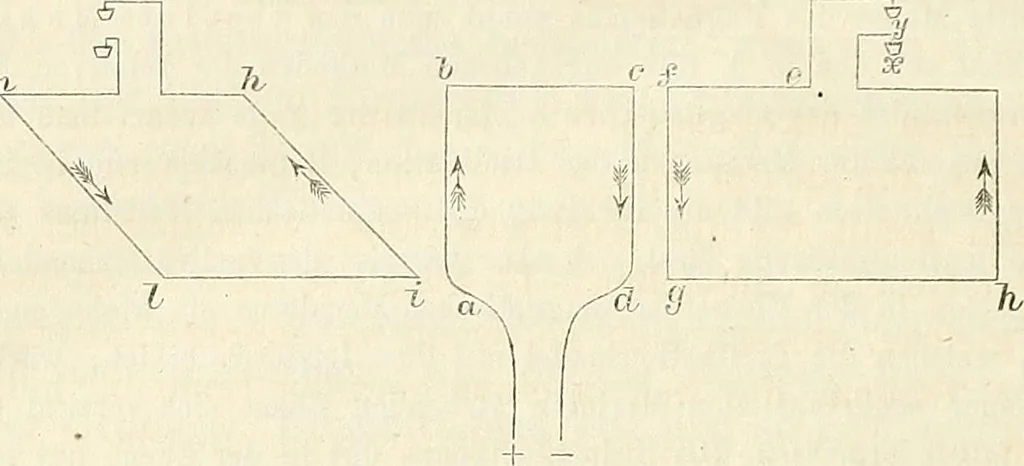 An illustration from Handbuch der medicinischen Physik, 1867, leaf 533