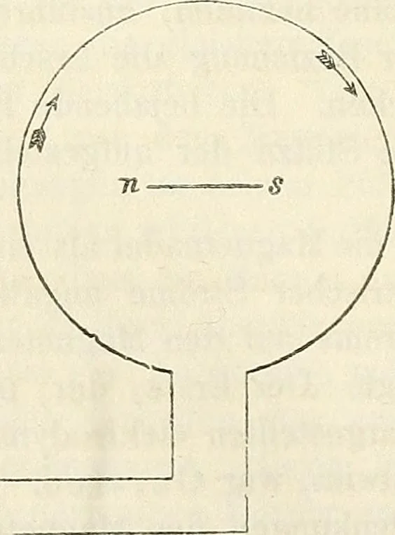 An illustration from Handbuch der medicinischen Physik, 1867, leaf 541