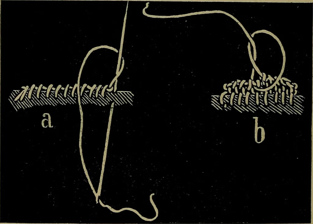An illustration from Handbuch der Spitzenkunde, Technisches und Geschichtliches über die Näh-, Klöppel- und Maschinenspitzen, 1894, leaf 100