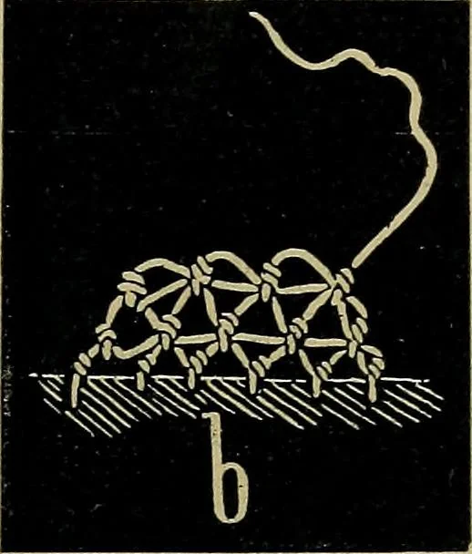 An illustration from Handbuch der Spitzenkunde, Technisches und Geschichtliches über die Näh-, Klöppel- und Maschinenspitzen, 1894, leaf 101